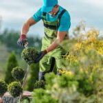 Gemini & Rechtsanwalt Wilhelm - Arnsberg- Soest - Dortmund -
