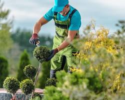 Gemini & Rechtsanwalt Wilhelm - Arnsberg- Soest - Dortmund -